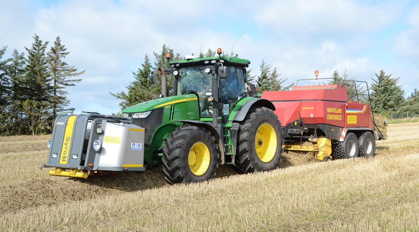 Grn traktor med siden til krer p en mark i godt og solrigt vejr.